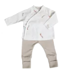 Primera puesta cometas