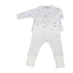 Primera puesta libélulas