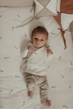 Primera puesta cometas