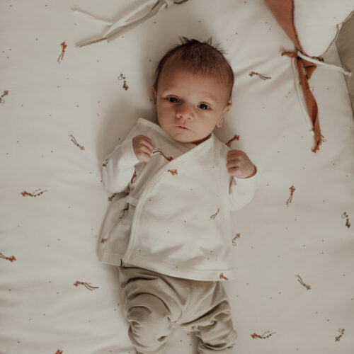 Primera puesta cometas