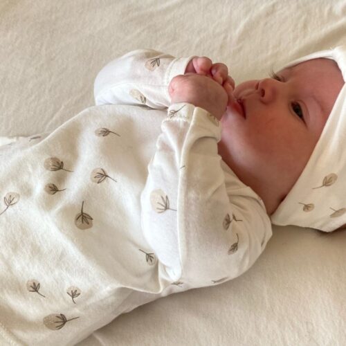 Primera puesta cotton son petit