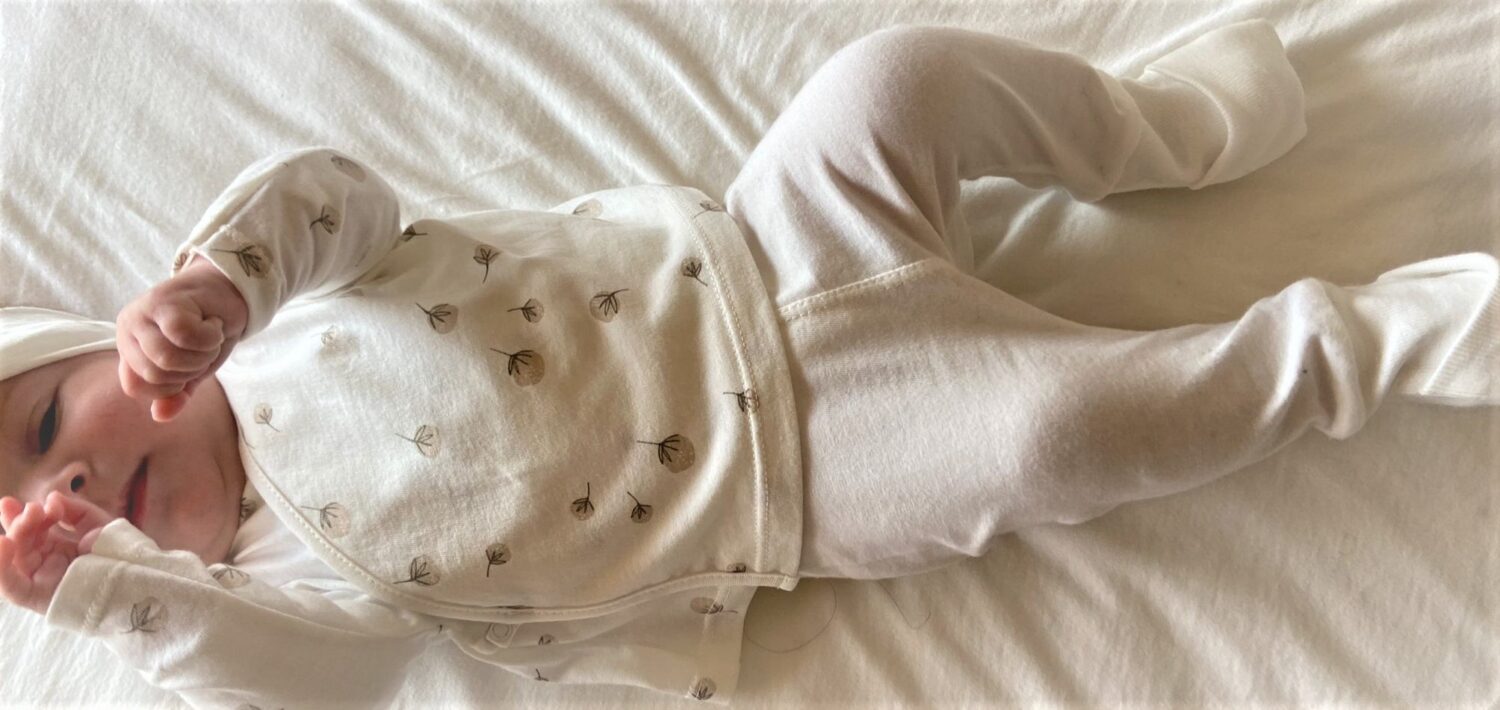 Primera puesta Cotton