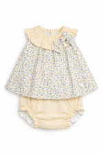 Jesusito amarillo Martin Aranda